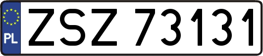 ZSZ73131