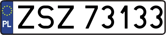 ZSZ73133