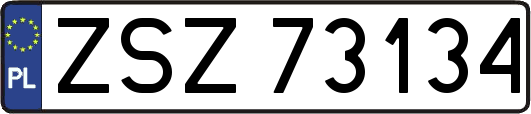 ZSZ73134