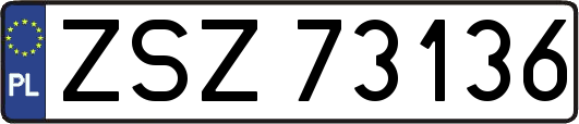 ZSZ73136