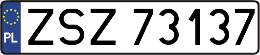 ZSZ73137