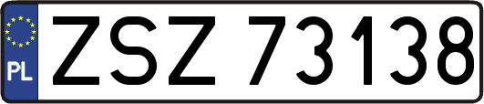 ZSZ73138