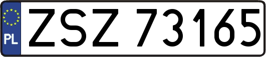 ZSZ73165