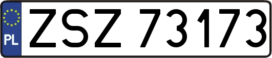 ZSZ73173