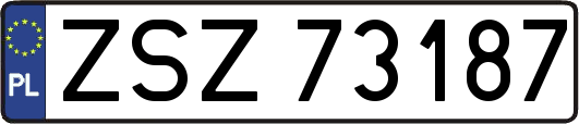 ZSZ73187