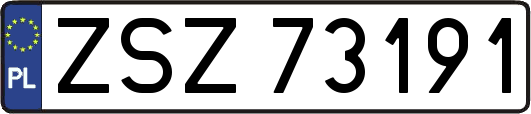 ZSZ73191