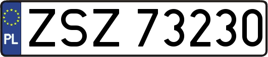 ZSZ73230