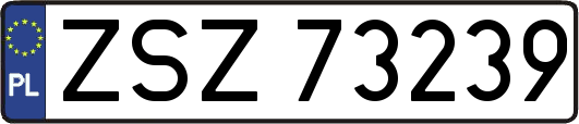 ZSZ73239