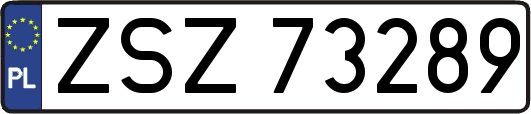 ZSZ73289