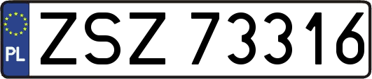 ZSZ73316