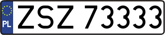 ZSZ73333