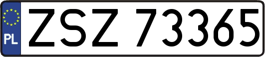 ZSZ73365
