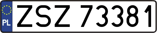 ZSZ73381