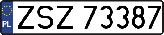 ZSZ73387