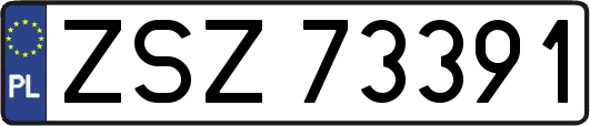 ZSZ73391