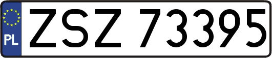 ZSZ73395