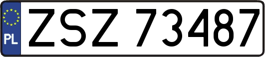 ZSZ73487