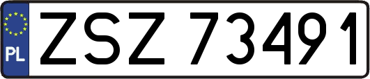 ZSZ73491