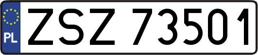 ZSZ73501