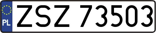 ZSZ73503