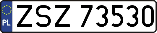 ZSZ73530
