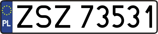 ZSZ73531