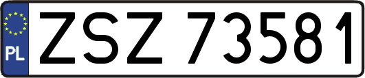 ZSZ73581