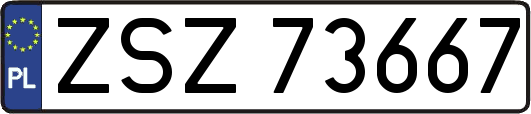 ZSZ73667
