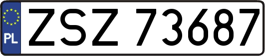 ZSZ73687