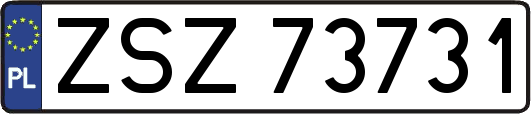 ZSZ73731