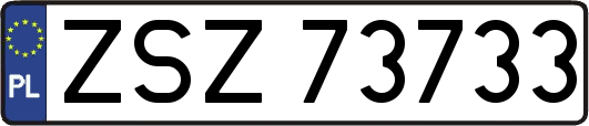 ZSZ73733