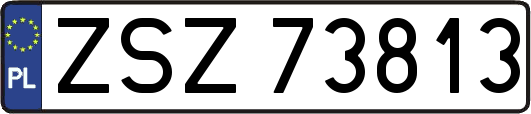 ZSZ73813