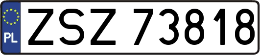 ZSZ73818