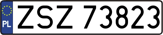 ZSZ73823