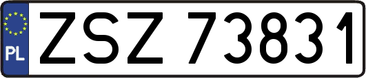 ZSZ73831