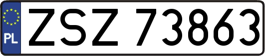 ZSZ73863