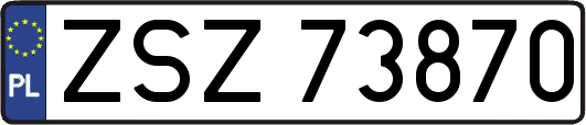 ZSZ73870