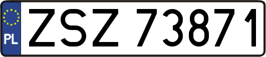 ZSZ73871