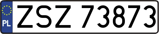 ZSZ73873