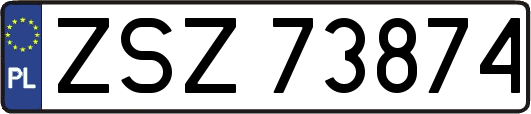 ZSZ73874