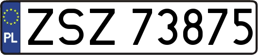 ZSZ73875
