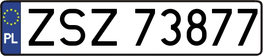 ZSZ73877