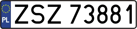 ZSZ73881