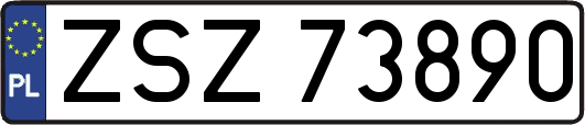ZSZ73890