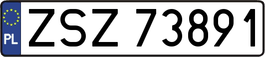 ZSZ73891