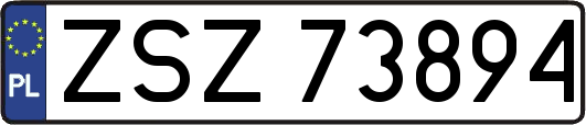 ZSZ73894