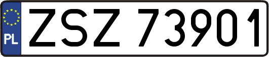 ZSZ73901
