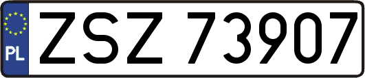ZSZ73907