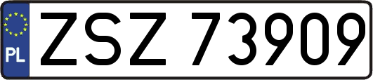 ZSZ73909