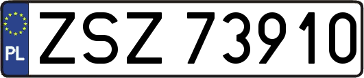ZSZ73910